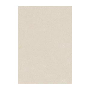 （まとめ） 文運堂 ニューカラーR 八ツ切 横271×縦392mm 8NCR-113 あかるいはいいろ 100枚入 【×2セット】 送料無料の通販は 6,495円