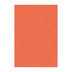 （まとめ） 文運堂 ニューカラーR 八ツ切 横271×縦392mm 8NCR-213 だいだい 100枚入 【×2セット】 送料無料の通販は 6,232円