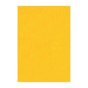 （まとめ） 文運堂 ニューカラーR 八ツ切 横271×縦392mm 8NCR-237 みかん 100枚入 【×2セット】 送料無料の通販は 5,173円