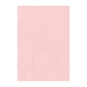 （まとめ） 文運堂 ニューカラーR 八ツ切 横271×縦392mm 8NCR-102 うすもも 100枚入 【×2セット】 送料無料の通販は 6,232円