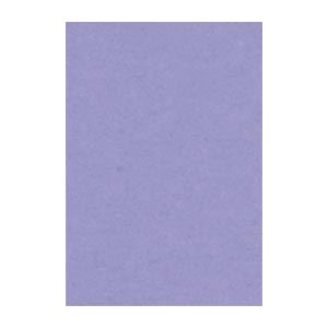 （まとめ） 文運堂 ニューカラーR 八ツ切 横271×縦392mm 8NCR-217 ふじむらさき 100枚入 【×2セット】 鮮やかなカラーパレット 多彩な色彩が広がる画用紙【2セット】 送料無料の通販は 6,232円