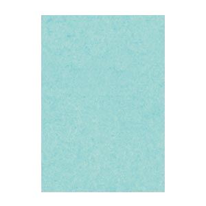 （まとめ） 文運堂 ニューカラーR 八ツ切 横271×縦392mm 8NCR-132 ライトブルー 100枚入 【×2セット】 青 送料無料の通販は 6,232円