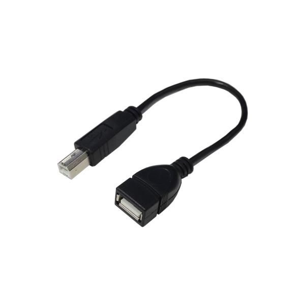 (まとめ)変換名人 USBケーブル 配線 20 A(メス) to B(オス) USBAB/BA20【×10セット】 送料無料 6,183円