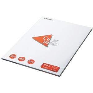 （まとめ） 長門屋商店 Color Paper A3 特厚口 白 ナ-1401V 1冊（100枚） 【×4セット】 白い特厚口のA3カラーペーパー、まとめて100枚 驚きの4セット 送料無料の通販は