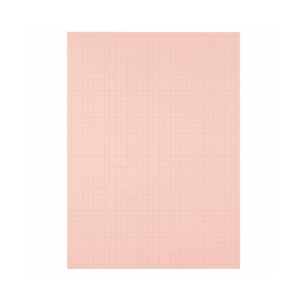 （まとめ） TANOSEE 模造紙（プルタイプ） 本体 788×1085mm 50mm方眼 ピンク 1ケース（20枚） 【×5セット】 送料無料の通販は