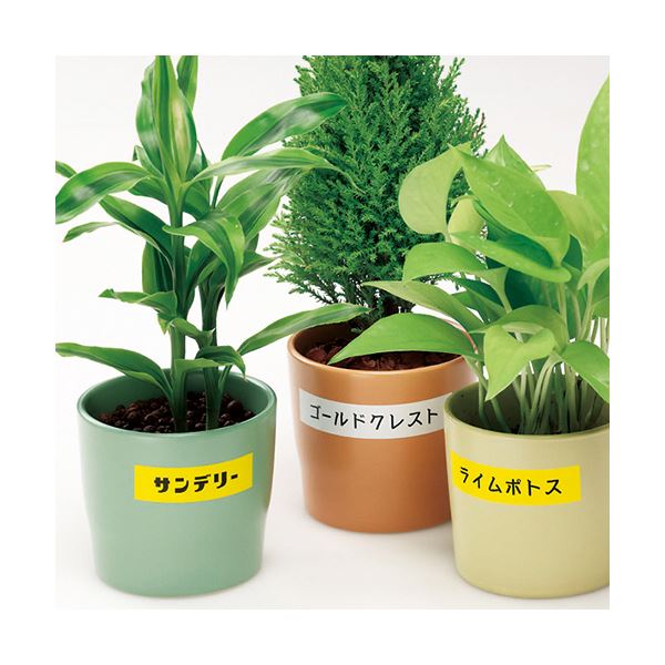 (まとめ) カシオ CASIO ネームランド NAME LAND 強粘着テープ 36mm×5.5m 白／黒文字 XR-36GWE 1個 【×5セット】