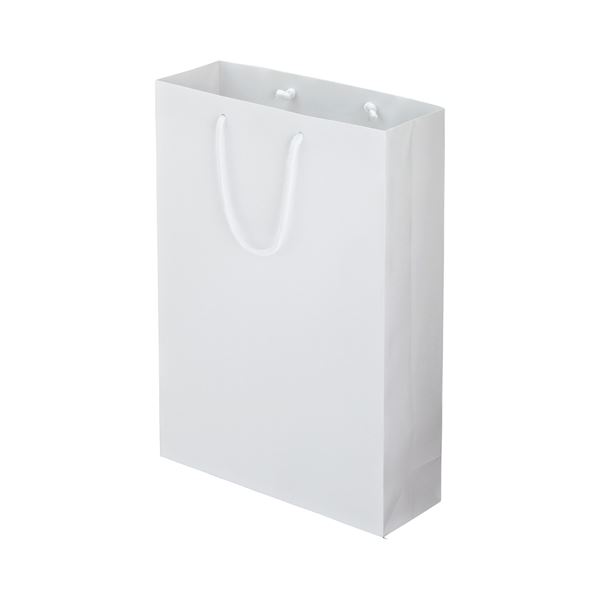 (まとめ) TANOSEE マットコート手提げ袋 L ヨコ320×タテ450×マチ幅110mm ホワイト 1パック（10枚） 【×5セット】 白 送料無料の通販は