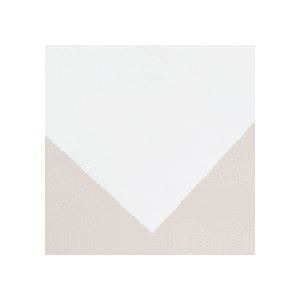 ソマール ジェトラス JP-D300SPETフィルム片面マット加工 A2カット 1冊(100枚) 送料無料の通販は