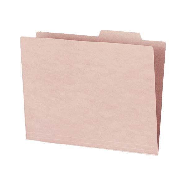 (まとめ) コクヨ 個別フォルダー（カラー） A4 ピンク A4-IFP 1セット（10冊） 〔×10セット〕(代引不可) まとめ）コクヨ 個別フォルダー(カラー) A4ピンク A4-RIFN-P 1パック