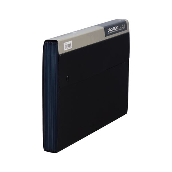 キングジム ドキュメントファイル A4・Lタイプ PP表紙 13ポケット 黒 2276 1セット(5冊) プロフェッショナル仕様 A4サイズの進化したファイル 13ポケットで収納力もバツグン 高級感漂う黒のPP表紙 便利な5冊セット 送料無料の通販は 10,344円