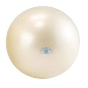 ギムニクフィットボール 55cm ホワイト 白 ホワイトカラーの55cmサイズで、体を鍛えるギムニクフィットボール 自宅でのトレーニングに最適なボールで、理想のボディを手に入れましょう 白 送料無料の通販はその他のスポーツ