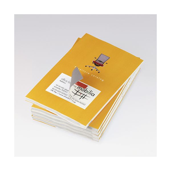 (まとめ) コクヨカラーレーザー&インクジェットプリンタ用紙ラベル (下地がかくせるタイプ) A4 24面 66×35mmKPC パソコン -SK124-20 1冊(20シート) 【×10セット】 送料無料