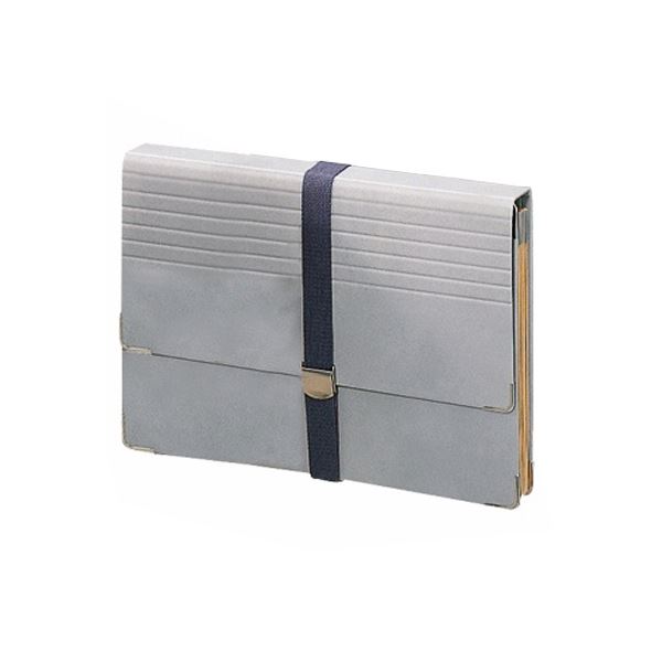 まとめ）ライオン事務器 ドキュメントファイルA4 12ポケット DC-411N 1