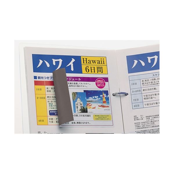 エーワン ラベルシール〈プリンタ兼用〉 マット紙 ノーカットタイプ 31151 1000枚 たのめーるエーワン ラベルシール[プリンタ兼用] マット紙