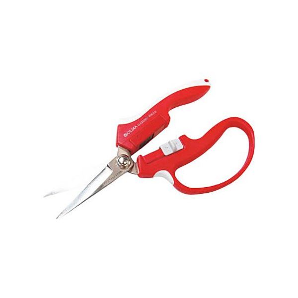 (まとめ) ムサシ オルマ マグネット鋏芽切型(赤) MG-2R 1個 【×3セット】 芽を切る鋏の王者 鮮やかな赤のオルマ パワフルなマグネット搭載 ムサシが贈る芽切りの新定番 MG-2R 赤い切れ味の極み 1個で3倍の満足感 送料無料の通販は 14,063円