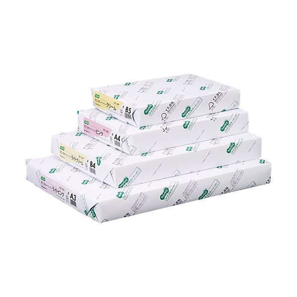 （まとめ）TANOSEE αエコカラーペーパーIIA4 オレンジ 1セット(2500枚:500枚×5冊) 【×2セット】 環境に優しい森林認証パルプを使用した高品質のオレンジカラーペーパーを2セットでお得にご提供します 送料無料の通販は