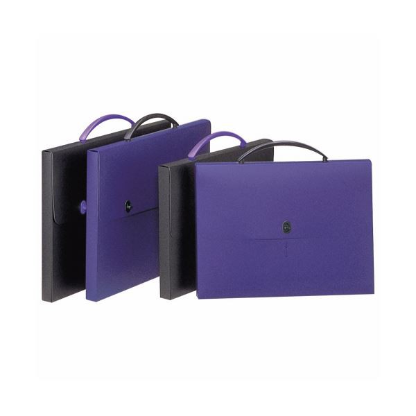 (まとめ) ライオン事務器 デザインケース B4ダークブルー DS-263 1個 【×10セット】 青 送料無料の通販は