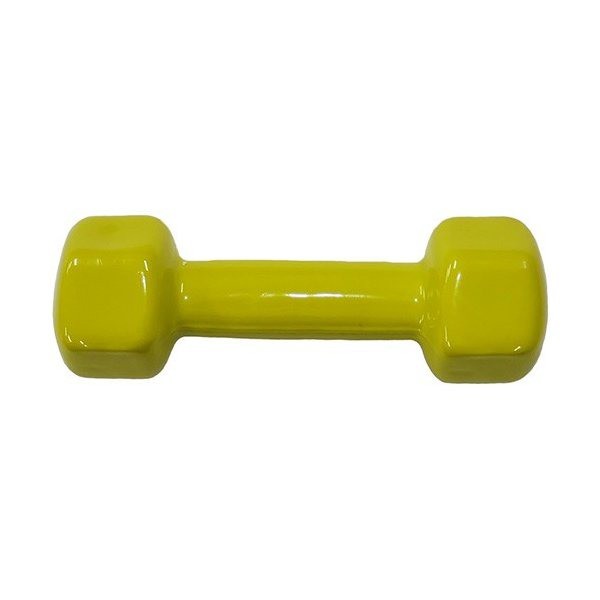 カラー 鉄アレー/ダンベル 【2kg×6本】 ビニールコーティング 防滑 防傷 転がりにくい仕様 〔スポーツ用品 運動用品〕 送料無料の通販は