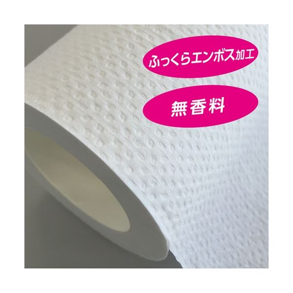 (まとめ) 日本製 国産 紙クレシア スコッティ フラワーパック 3倍長持ち ダブル 芯あり 75m 1パック(4ロール) 【×20セット】 送料無料の通販は (まとめ) 日本製 国産 紙クレシア スコッティ フラワーパック 3倍長持ち ダブル 芯あり 75m 1パック(4ロール) 【×20セット】 送料無料の通販は