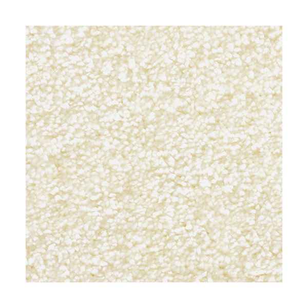 防炎 ラグマット じゅうたん 敷き物 /絨毯 【江戸間12畳 エクリュ】 ホットカーペット対応 日本製 国産 『ジェイド』 プレーベル 送料無料の通販は 122,312円