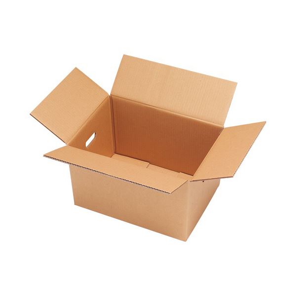 TANOSEE 無地ダンボール箱 ダブルフルート 高さ305mm 1パック（10枚） 頑丈で頼りになる 重たい荷物も安心の超強力ダンボール箱 厚みと丈夫さが違う TANOSEE 無地ダンボール箱 ダブルフルート 高さ305mm 1パック（10枚） 送料無料の通販は