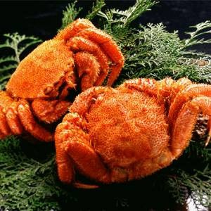 【北海道産】ボイル毛ガニ姿（約350g×2尾） 北海道の極上カニ味噌をたっぷりと堪能 濃厚なオホーツク産カニ味噌が贅沢に詰まった【北海道産】ボイル毛ガニ姿（約350g×2尾） 送料無料の通販は