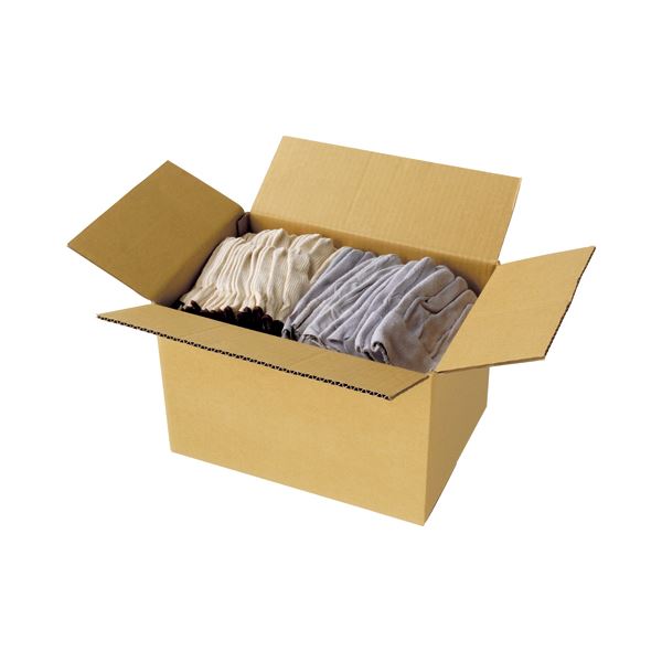 （まとめ）TANOSEE 無地ダンボール箱 A4（SS）サイズ 高さ250mm 業務用パック 1パック（30枚） 〔×5セット〕 まとめ）TANOSEE 無地ダンボール箱 A4（SS）サイズ 高さ190mm 業務用