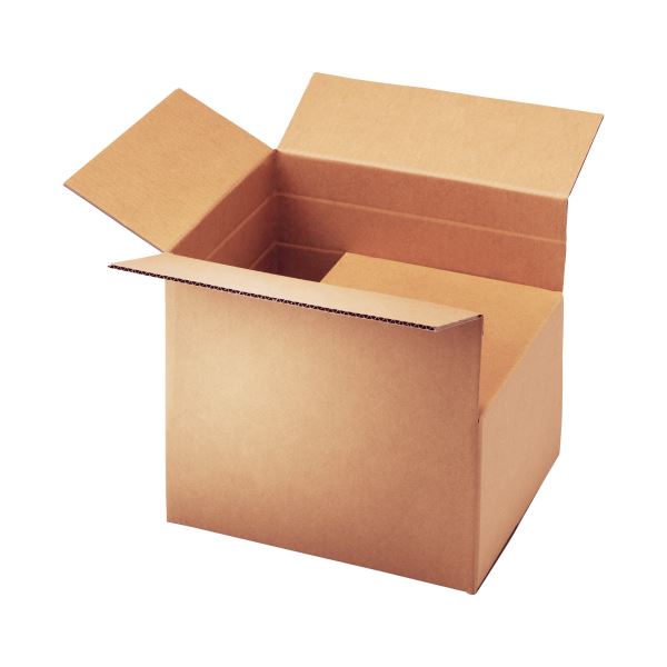 TANOSEE 無地ダンボール箱 PC パソコン 用紙対応（M）サイズ 高さ調整タイプ 1パック（10枚） 送料無料の通販は