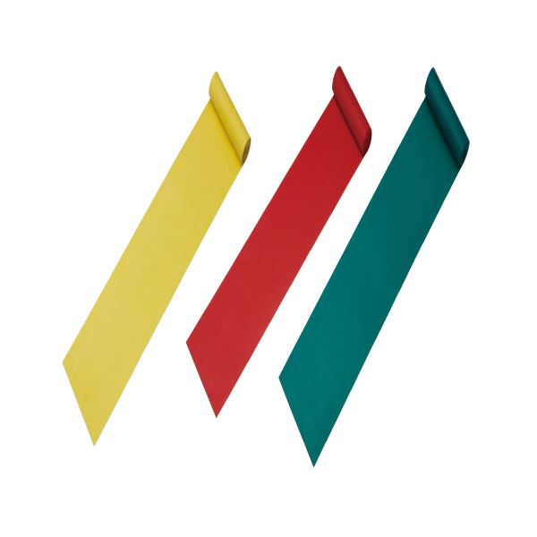 DLM レクトレバンド5.0 3色セット カラフルなトレーニングバンド5.0、3色セット 筋力アップの新たな道具が登場 送料無料の通販は