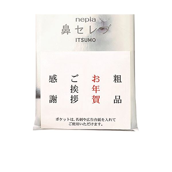 まとめ）王子ネピア ネピア鼻セレブ ITSUMOPLUS 48組 1パック