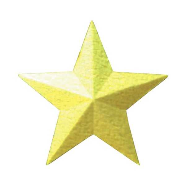 （まとめ）ペーパーインテリジェンス エンボスパンチ 3Dスター スモール【×10セット】 送料無料 9,429円