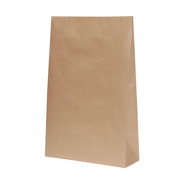 (まとめ) パックタケヤマ 角底袋 未晒 無地 H45mm XZT50545 1パック(50枚) 【×3セット】 角底袋の革命 未晒しの無地デザインで、使い勝手抜群 H45mmのパックタケヤマ角底袋、1パック(50枚)を3セットでお得にご提供 送料無料の通販は紙袋