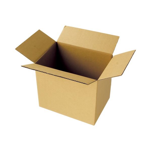 （まとめ）TANOSEE 宅配用ダンボール箱 100-B4 1パック（20枚） 【×3セット】 送料にピッタリのサイズ設計 便利な宅配用ダンボール箱100-B4が1パックで20枚 ×3セットでお得に 送料無料の通販は