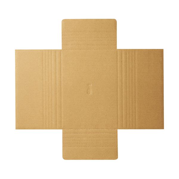 (まとめ) TANOSEE タトウ式段ボール B5用 1パック（50枚） 【×5セット】 包装作業に最適 便利な結束用品 B5サイズ対応のタトウ式段ボール、1パック50枚セット×5 送料無料の通販は 16,761円