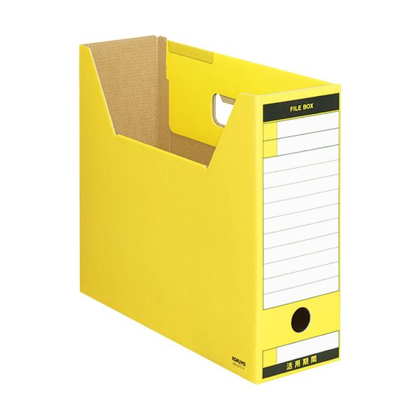 ボスウェリア ネグレクタ （大株）鉢付（細川政巳） 塊根植物