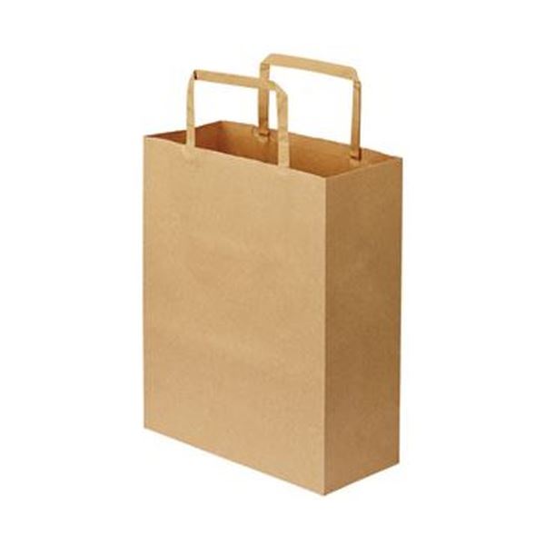 （まとめ）TANOSEE 紙手提袋 平紐 特小ヨコ200×タテ245×マチ幅90mm 茶無地 1パック（50枚）〔×10セット〕 まとめ）TANOSEE 紙手提袋 平紐 特小ヨコ200×タテ245×マチ幅