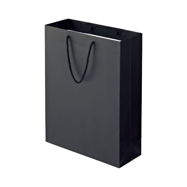 (まとめ) TANOSEE マットコート手提げ袋 LL ヨコ380×タテ500×マチ幅150mm ブラック 1パック（10枚） 【×5セット】 黒 送料無料の通販は 13,957円