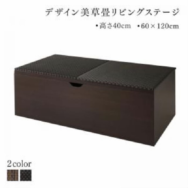 リビング収納用畳ボックス収納単品 国産　収納付きデザイン美草畳リビングステージ( 収納幅 :120cm)( 収納高さ :40cm)( 収納奥行 :60cm)(