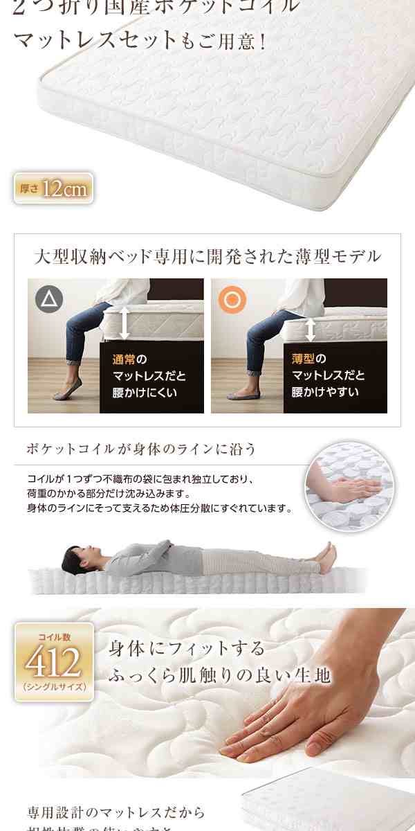 単品 【組立設置サービス】ベッド 国産 木製 収納 跳ね上げ式 横開き