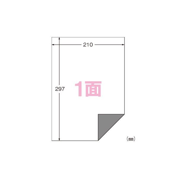 エーワン ラベルシール〈プリンタ兼用〉下地がかくせる修正タイプ マット紙（A4判） 100枚入 31282 100枚 下地を完璧に隠す プリンタ兼用