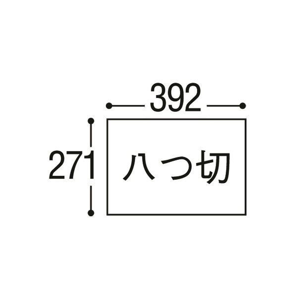 まとめ）リンテック ニューカラーR 八つ切 みかん 8NCR-237 1パック