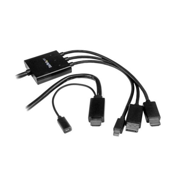 StarTech.com HDMI／DisplayPort／Mini DisplayPort-HDMI変換ケーブル 2m ブラックDPMDPHD2HD 1本 黒 送料無料