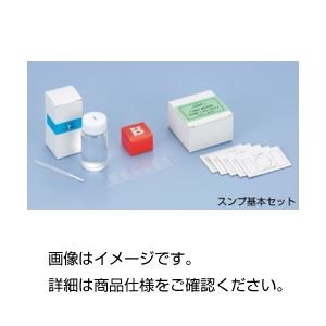 まとめ）スンプ基本セット B板セット 生物の世界を探求するための必須