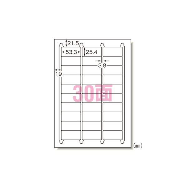 （まとめ） エーワン ラベルシール〈プリンタ兼用〉キレイにはがせるタイプ（再剥離） マット紙（A4判） 100枚入 31260 【×2セット】 送