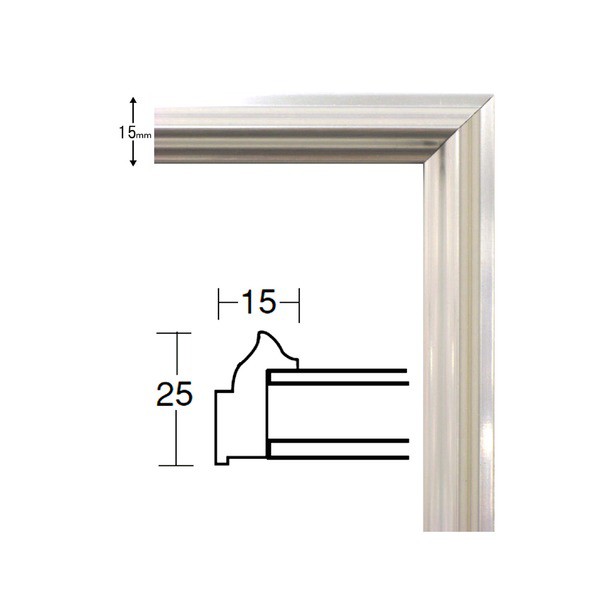 デッサン額縁/フレーム 【大衣サイズ 509×394mm】 シルバー 壁掛けひも付き 化粧箱入り 5002 送料無料