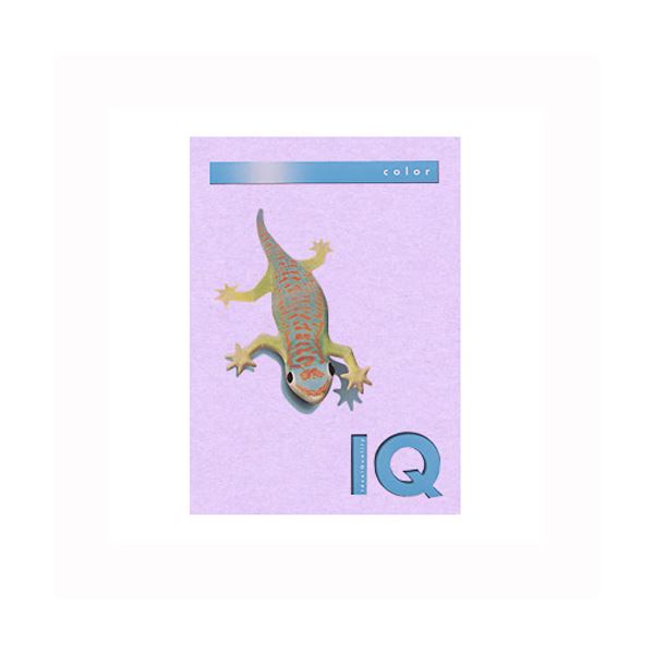 （まとめ） 伊東屋 バイオトップカラー A4判 500枚入 80g／m2 BT510 ラベンダー 【×2セット】 送料無料