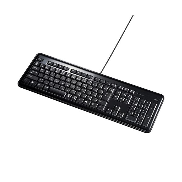 USBハブ付キーボード SKB-SL21UHBK スリムなキーボードに2つのUSB2.0ポートを内蔵し、デスク周りのスペースを有効活用 USB接続の機器を簡単に追加でき、作業効率もアップ 送料無料 5,276円