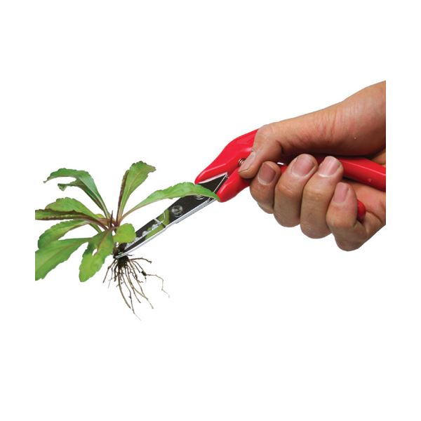 (まとめ)清水製作所 草抜くぞう 808406【×5セット】 根っこを確実に掴んで一挙に除去 草を一掃する究極のツール （まとめ）草を根こそぎの通販は