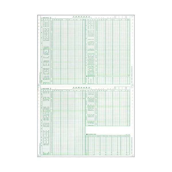 (まとめ) 東京ビジネス 合計残高試算表(一般・科目印刷) 平成18年会社法対応 CG1006OZU 1冊(50セット) 【×5セット】 送料無料