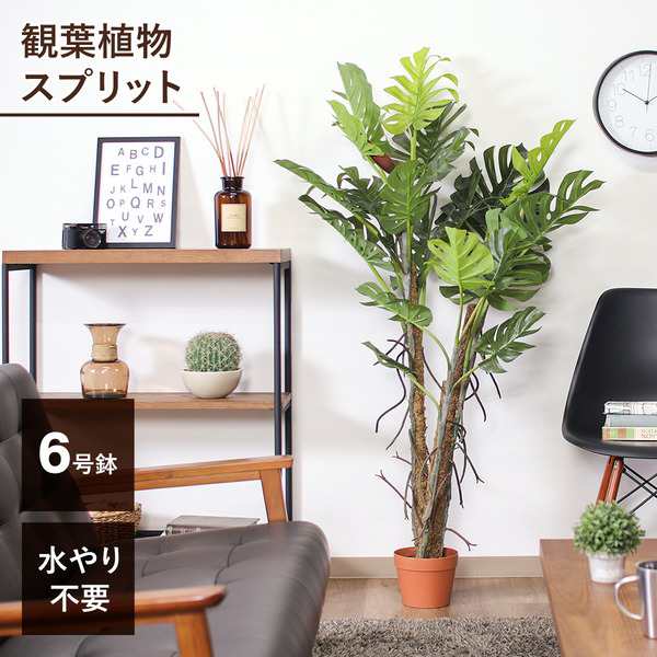 観葉植物 造花 約幅80cm スプリット 6号鉢対応 22 52667 インテリア